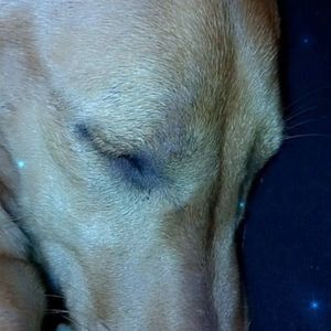 Meet your Posher, Destiny